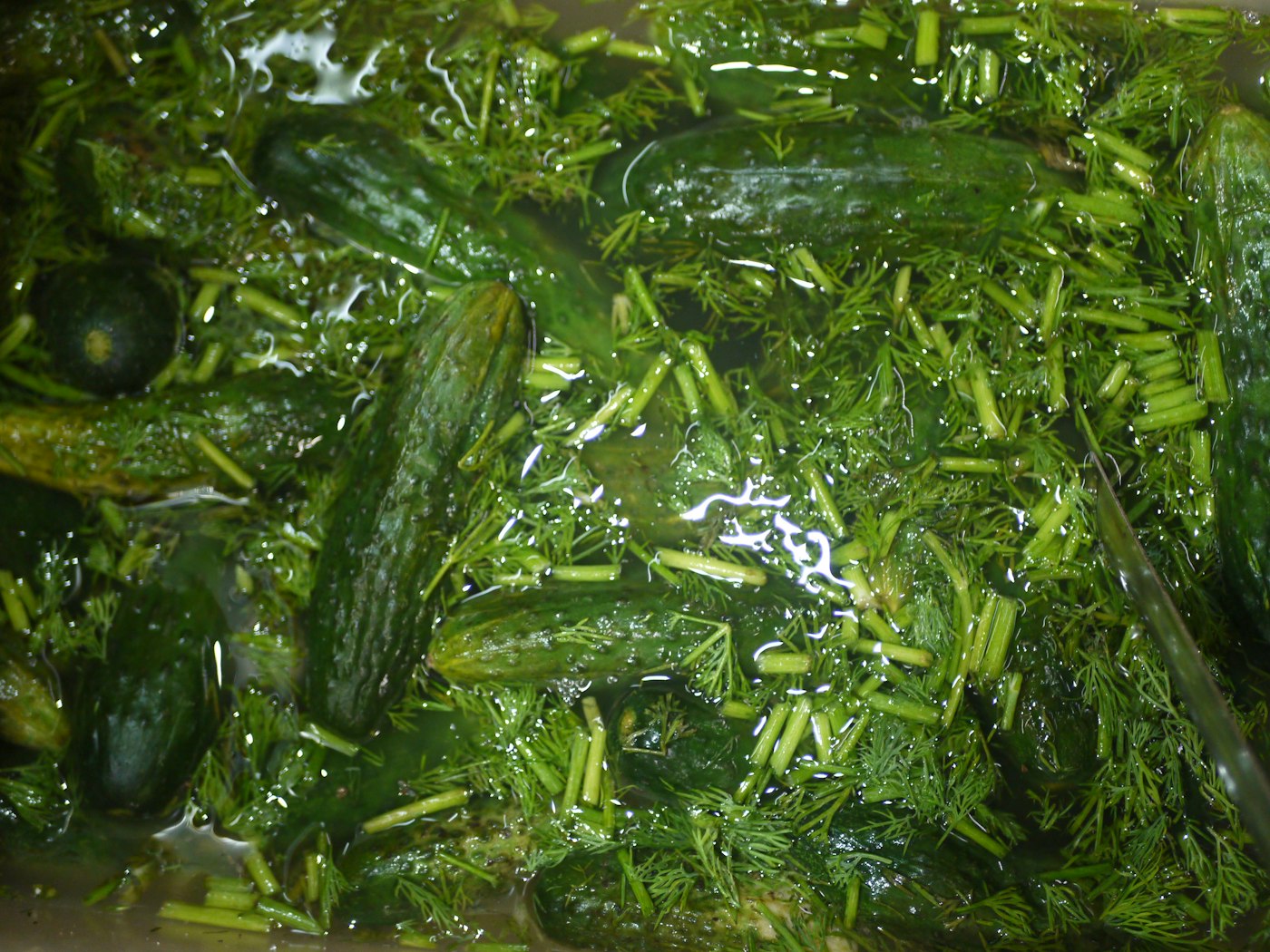Tempeh
